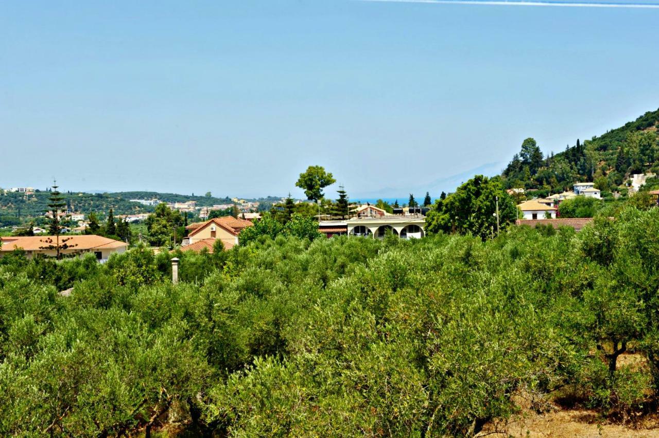 Studios Dimitris Giatras Zakynthos Town Luaran gambar